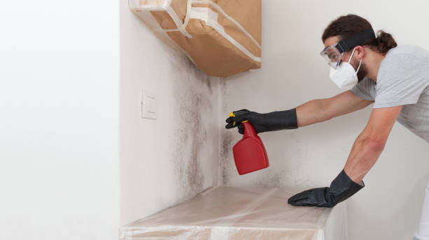 Professional Bathroom Mold Removal technician working in Leland, MI