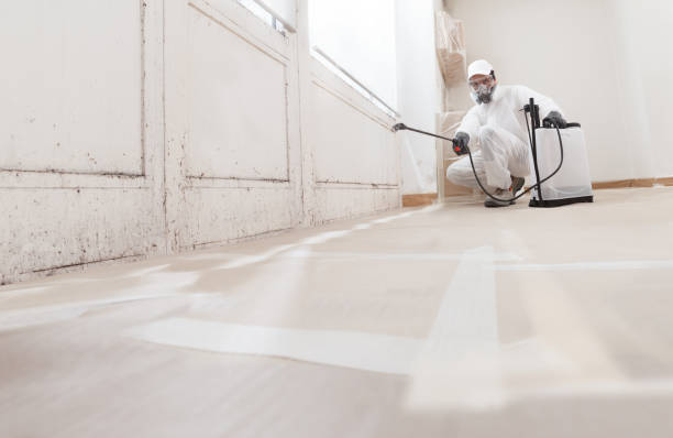 24/7 Emergency Bathroom Mold Removal experts in Leland, MI