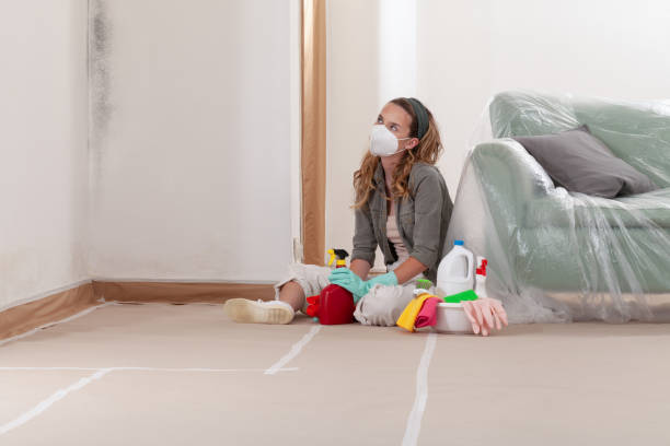 Reliable Bathroom Mold Removal contractor in Leland, MI by Mold Remediation HQ